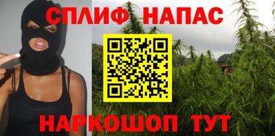 jwh Гусев
