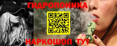 jwh Гусев