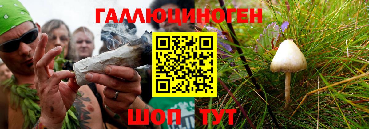 Галлюциногенные грибы MAGIC MUSHROOMS  Вход с VPN  Муравленко 